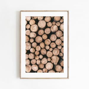 May include: A close-up image of a stack of round wooden logs. The logs are arranged in a random pattern and are all different sizes. The wood is a light brown colour and has a natural, rustic look.
