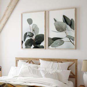 May include: Two framed prints of eucalyptus leaves on a white background. The leaves are a light green colour and have a delicate texture. The frames are a light wood colour.