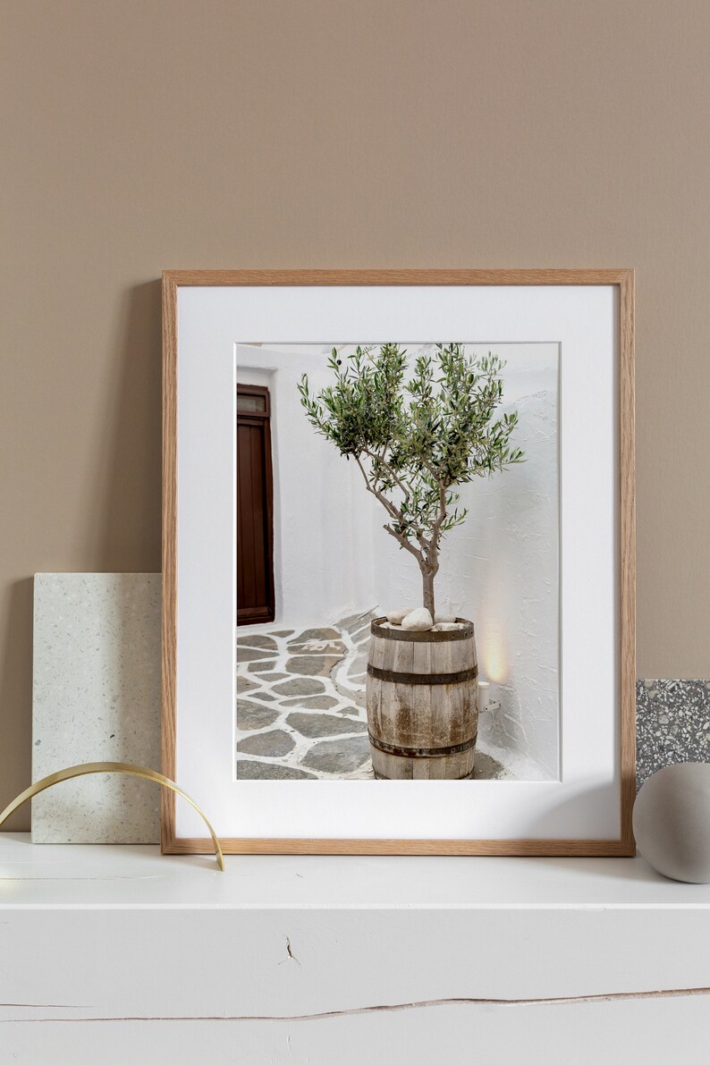 May include: A framed photograph of a small olive tree in a wooden barrel planter. The tree is in a whitewashed courtyard with a stone path.