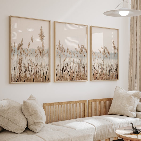 Neutral Dried Grass prints, Pampas triptych wall art, dried grass set of 3 prints, boho coastal reeds photo, printable wall art