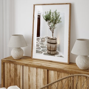 May include: A framed photograph of a small olive tree in a wooden barrel planter, set against a whitewashed wall with a stone walkway in the background.