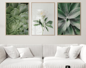Green white botanical prints, succulent prints set of 3, minimalist flower photography, digital download