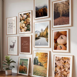 Op de afbeelding: Een verzameling ingelijste kunstafdrukken met een herfstthema. De afdrukken tonen afbeeldingen van pompoenen, herfstlandschappen en tekst die luidt "Pumpkin spices everything nice" en "Enjoy the golden season". De lijsten zijn van licht hout.