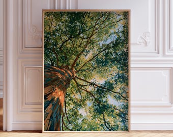 Forest canopy art print, green botanical nature painting, woodland printable wall art