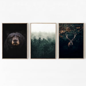 3 piece wall art, deer prints wall art, wildlife print set of 3, wild animals photography, bear print set, Nordic Printable Wall Art
