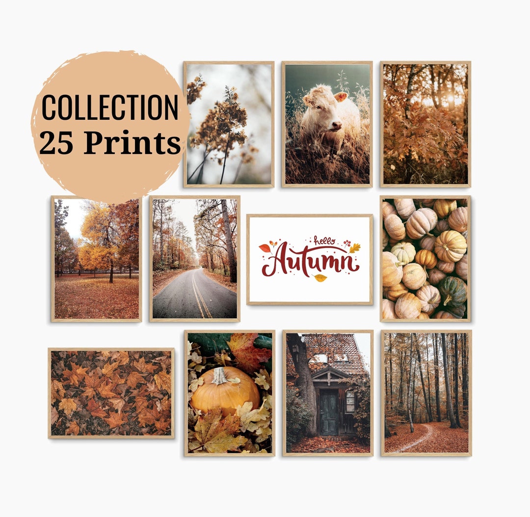 25 Prints, Fall Wall Art, Autumn Gallery Wall Set, Fall Nature Posters