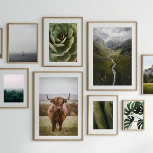 May include: A gallery wall with nine framed prints featuring nature scenes. The prints include a close-up of a succulent, a mountain valley with a winding river, a forest scene, a highland cow, and various green foliage.