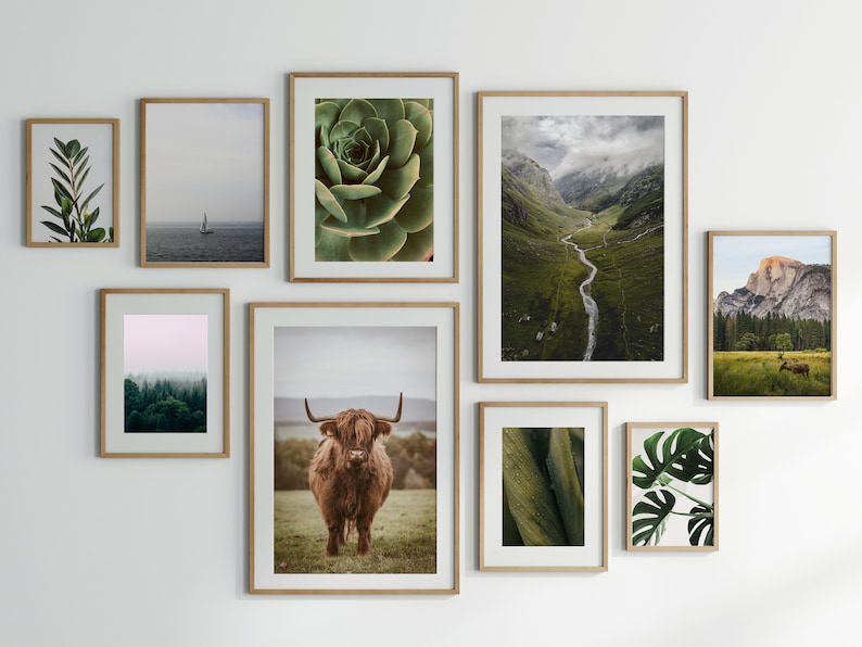 May include: A gallery wall with nine framed prints featuring nature scenes. The prints include a close-up of a succulent, a mountain valley with a winding river, a forest scene, a highland cow, and various green foliage.