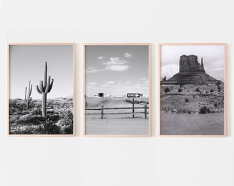 May include: A set of three black and white landscape photographs in wooden frames. The first image shows a tall cactus in the desert. The second image shows a dirt road with a one-way sign. The third image shows a rock formation in the desert.