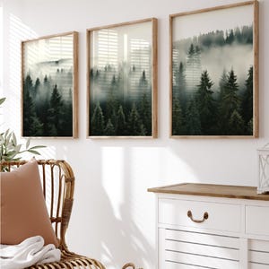 May include: Three rectangular wall art prints in light wood frames, each displaying a vertical landscape of dark green pine trees partially obscured by thick, low-hanging white fog, creating a layered forest scene across the three separate panels.