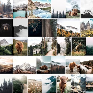 May include: A collage of images featuring nature scenes, including mountains, forests, lakes, and animals. The images are arranged in a grid pattern and feature a variety of colors and textures.