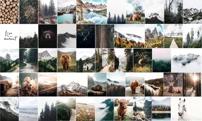 May include: A collage of images featuring nature scenes, including mountains, forests, lakes, and animals. The images are arranged in a grid pattern and feature a variety of colors and textures.