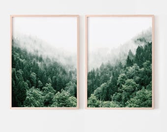May include: Two framed prints of a misty forest scene with lush green trees. The prints are in a light wood frame and are hung on a white wall.