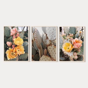 Kaktus Digitaldrucke 3er Set, Prickly Pear Wandkunst, Kaktus Blumen Fotografie, Boho Wüste botanische Poster, druckbare Wandkunst