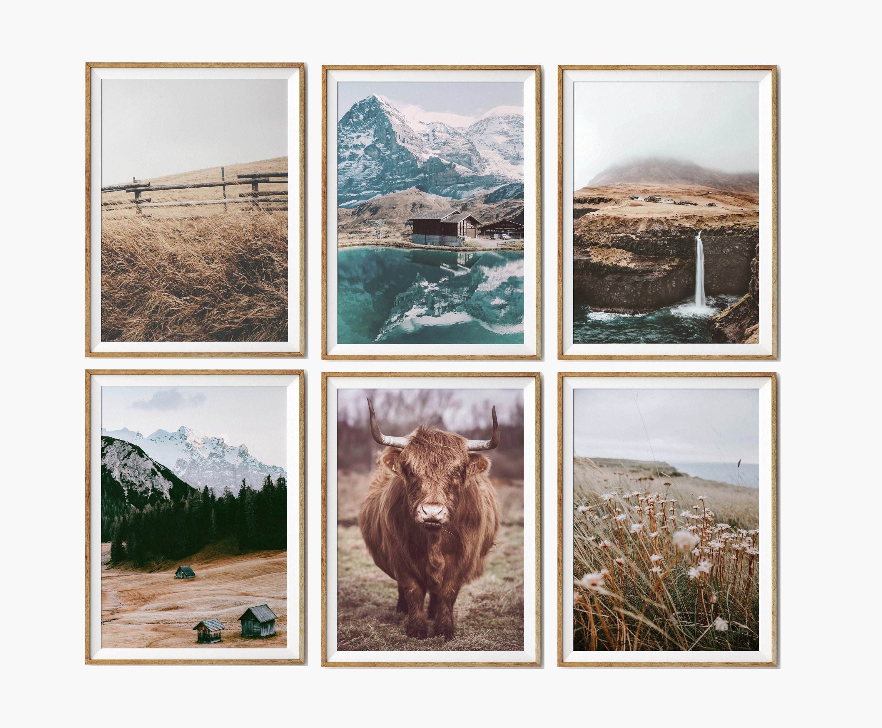 Highland Cow Prints Set of 6 Nature Gallery Wall Set Rustic - Etsy UK