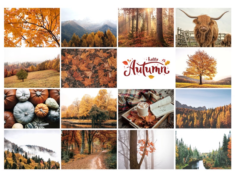 100 Autumn \ Fall Gallery Wall Art Prints, Fall Photography Bundle ...