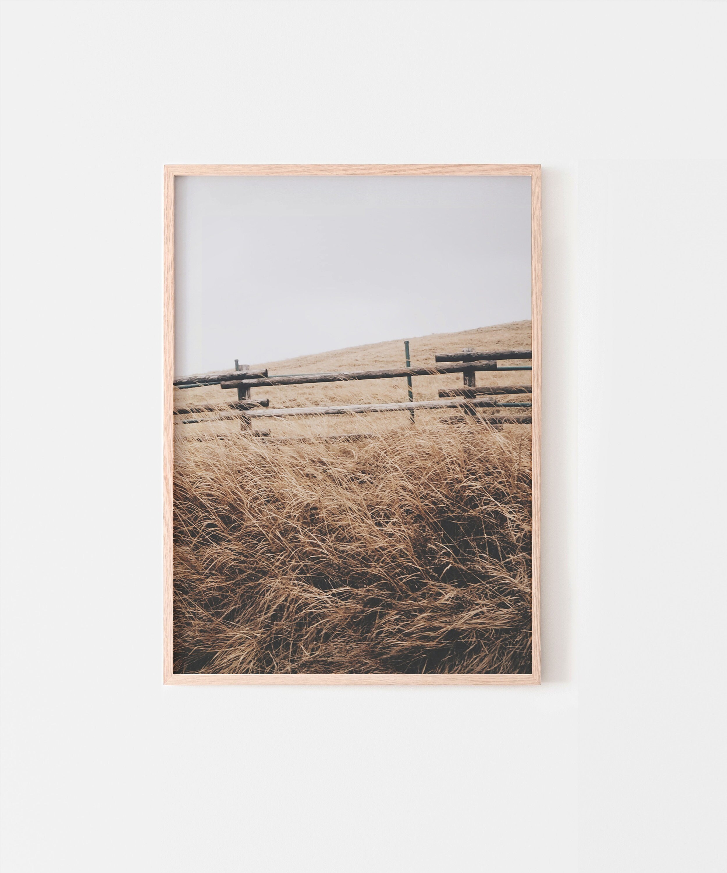 Highland Cow Prints Set of 6 Nature Gallery Wall Set | Etsy UK