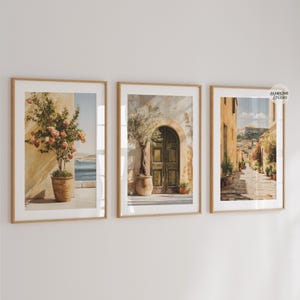 May include: A triptych of framed art prints depicting Mediterranean scenes. The prints showcase watercolour paintings: a flowering plant in a pot, a doorway, and a street scene. The frames are a light wood colour.