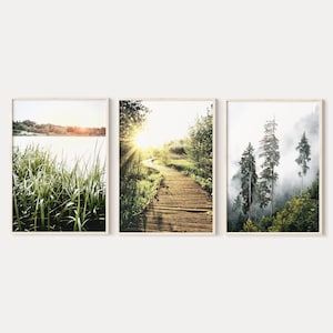 Forest path landscape 3 piece wall art, forest photography, green nature gallery set, printable wall art