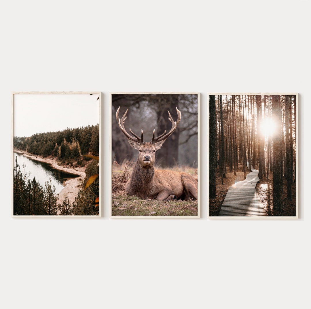 Deer Photography Prints Set of 3, Nature Deer Prints for Digital ...