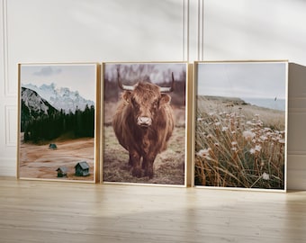 Highland Cow Set of 3 prints, Farm Nature Photography, Farmhouse Landscape Prints, Printable Wall Art