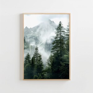 May include: A misty mountain scene with tall evergreen trees in the foreground. The mountain peaks are obscured by clouds and fog, creating a sense of mystery and tranquility.