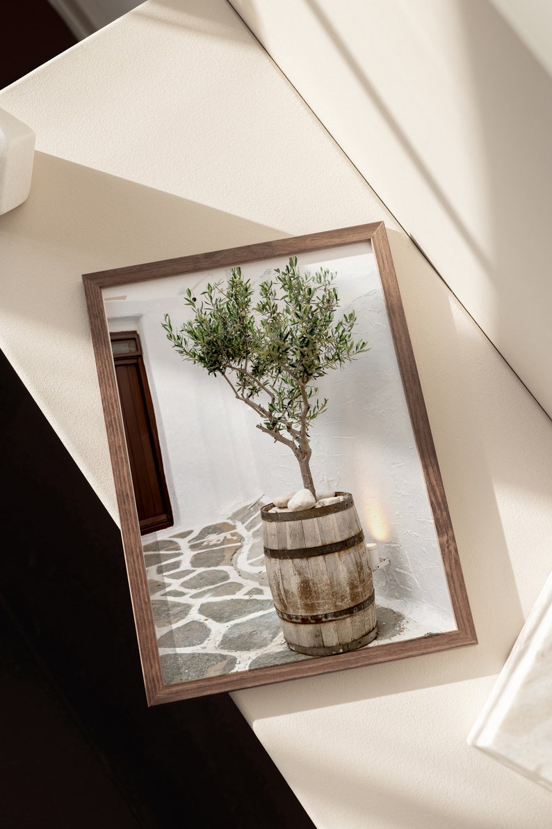 May include: A framed photograph of a small olive tree growing in a wooden barrel. The tree is in a white courtyard with a stone path and a white wall in the background.
