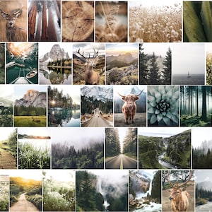 May include: A collage of images featuring nature scenes, including forests, mountains, rivers, and wildlife. The images are arranged in a grid pattern and feature a variety of colors and textures.