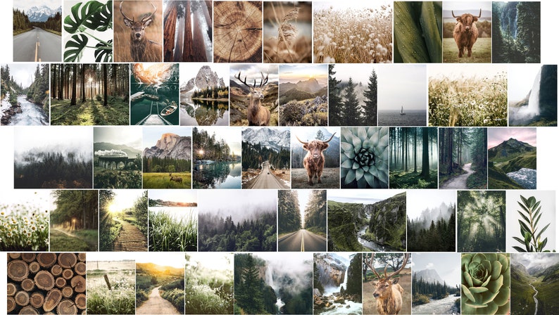 May include: A collage of images featuring nature scenes, including forests, mountains, rivers, and wildlife. The images are arranged in a grid pattern and feature a variety of colors and textures.