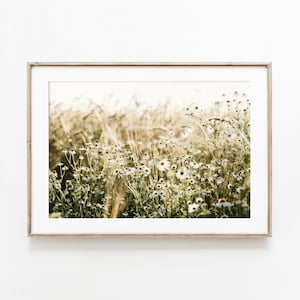 Op de afbeelding: Een ingelijste foto van een veld met wilde bloemen in zacht, gouden licht. De bloemen zijn wit en delicaat, met groene stelen en bladeren. De achtergrond is een veld met hoog gras.