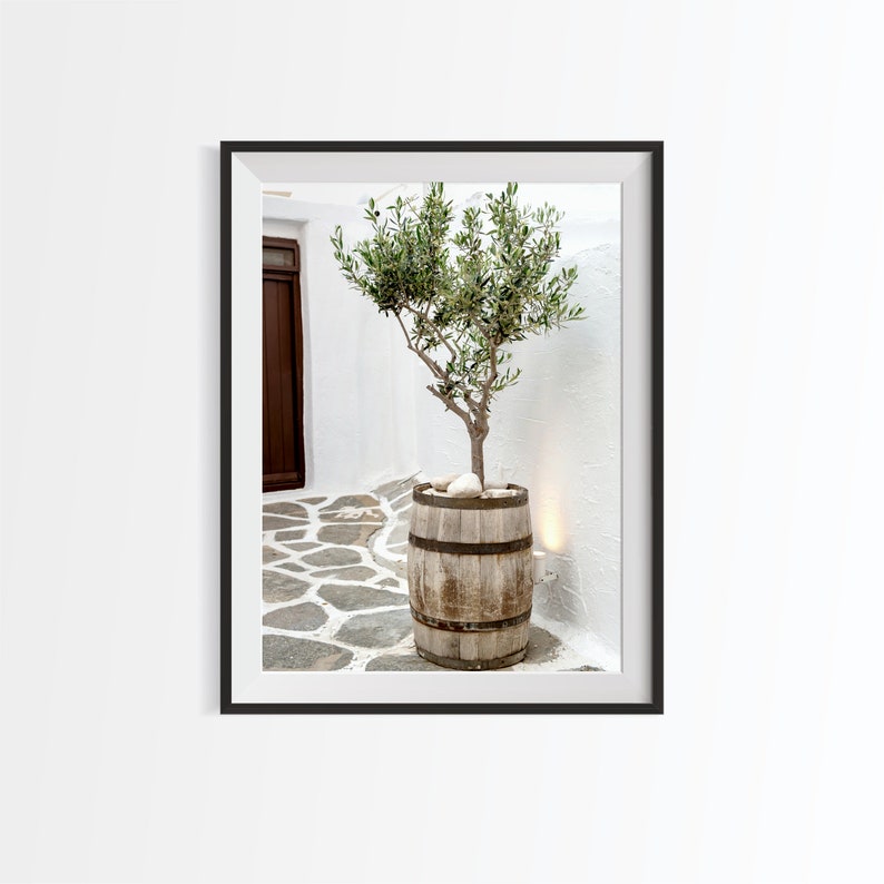 May include: A small olive tree in a wooden barrel planter sits on a white stone patio. The tree is in a whitewashed courtyard with a brown wooden door in the background.