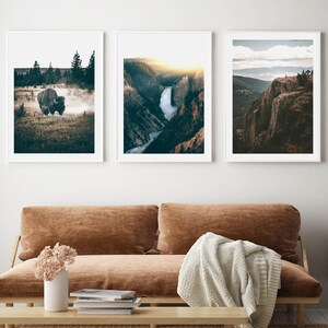 May include: Three framed landscape photographs. The first shows a bison walking through a grassy field. The second shows a waterfall cascading down a mountainside. The third shows a mountain range with a cloudy sky.