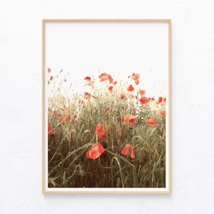 Poppy field digital print, farm poppies field photography, wild flowers poster, printable wall art