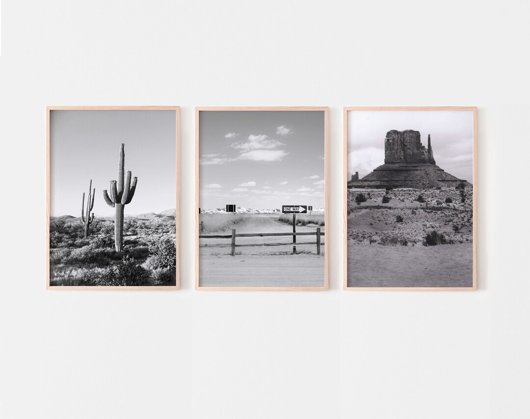 Arizona Desert Wall Art Black and White Arizona Set of 3 Etsy