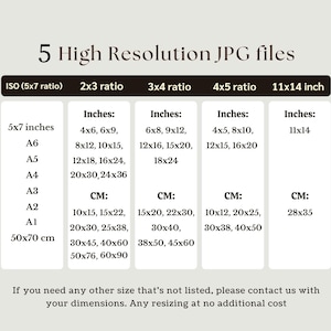 May include: A chart titled 5 High Resolution JPG files displaying five columns of aspect ratios including ISO, 2x3, 3x4, 4x5, and 11x14 inch. The table lists various dimensions in inches and centimeters for each ratio, ending with a contact note for resizing.