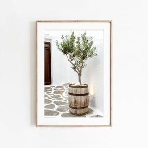 Olive Tree print, Mediterranean printable wall art, olive branch photography, digital download