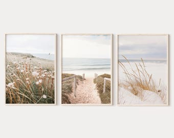 Puede incluir: Un conjunto de tres láminas de arte enmarcadas con paisajes costeros. La lámina izquierda muestra flores silvestres blancas entre hierba alta, la central un sendero de arena hacia el océano y la derecha hierba de playa sobre dunas costeras.