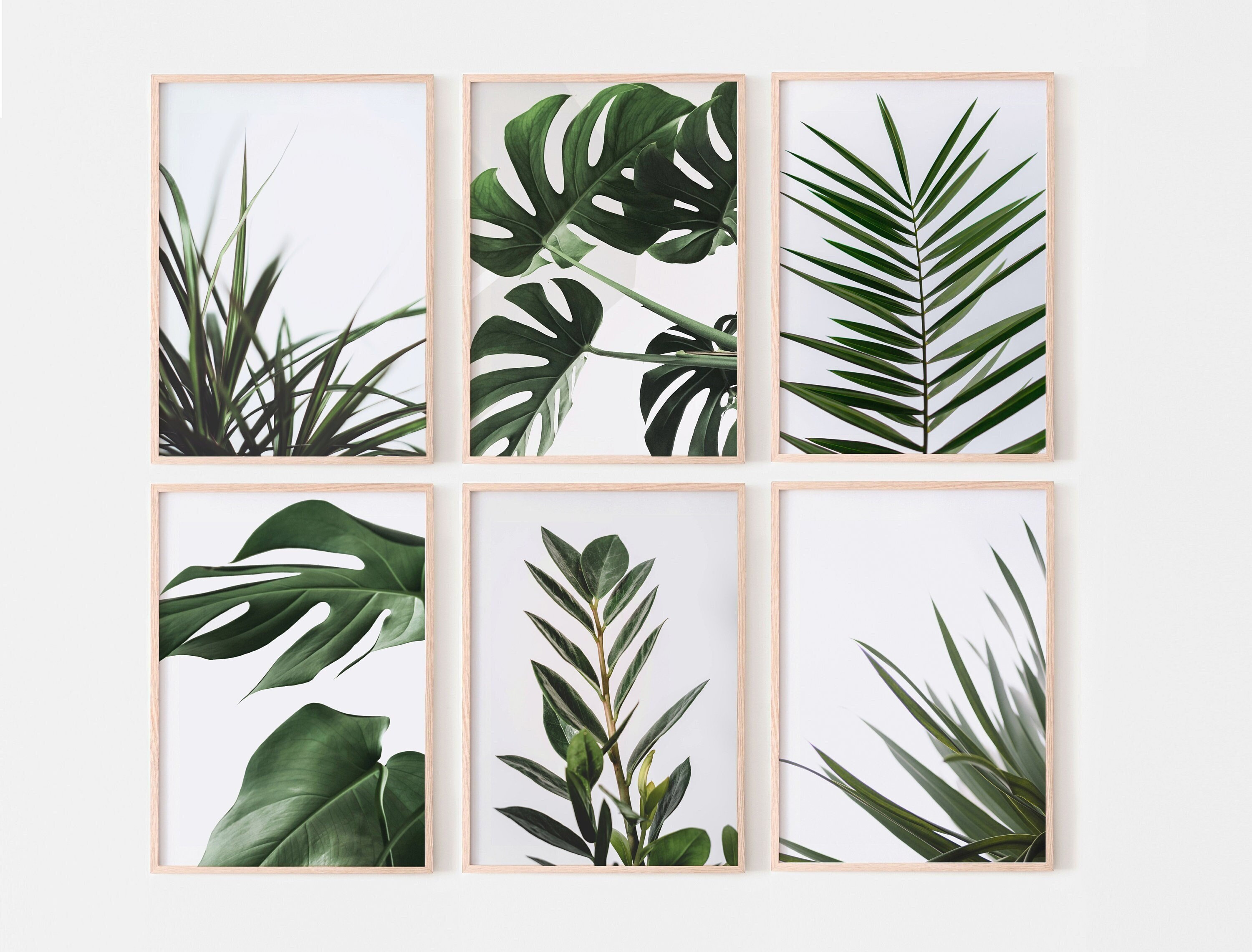 Green Leaves Set of 6 Prints, Botanical Gallery Wall Set, Tropical