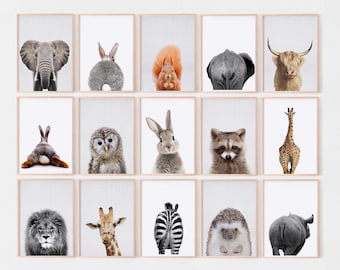 May include: A collection of fifteen framed wall art prints featuring various animals. The images include portraits and rear views of an elephant, rabbit, squirrel, highland cow, owl, raccoon, giraffe, lion, zebra, hedgehog, and rhinoceros.