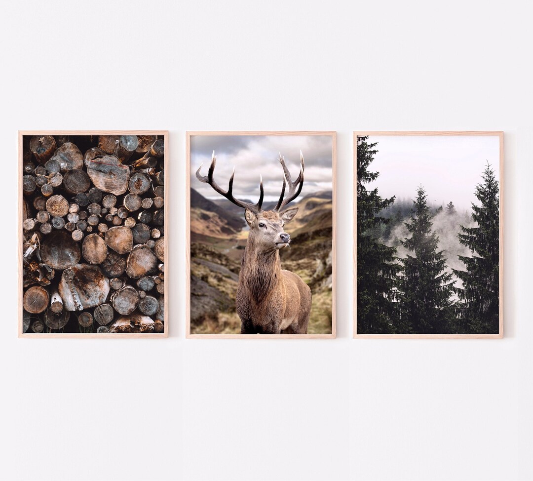 Nature Gallery Wall Set of 3 Prints, Nature Prints, Deer Photography ...