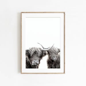 Schwarzweiße Highland Kühe Druck, Bauernhof Tiere Fotografie, digitaler Download, druckbare Wandkunst