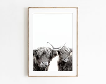 Stampa di mucche delle Highlands in bianco e nero, fotografia di animali da fattoria, download digitale, arte murale stampabile