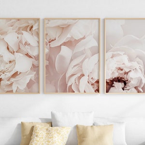 Blush Pink Peonies Prints Set of 3, Peony Flowers Posters Art ...