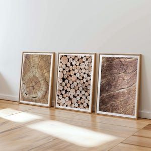 May include: Three framed prints featuring wood textures. The first print shows a cross-section of a tree trunk with visible growth rings. The second print displays a collection of cut logs. The third print showcases the textured surface of wood grain.