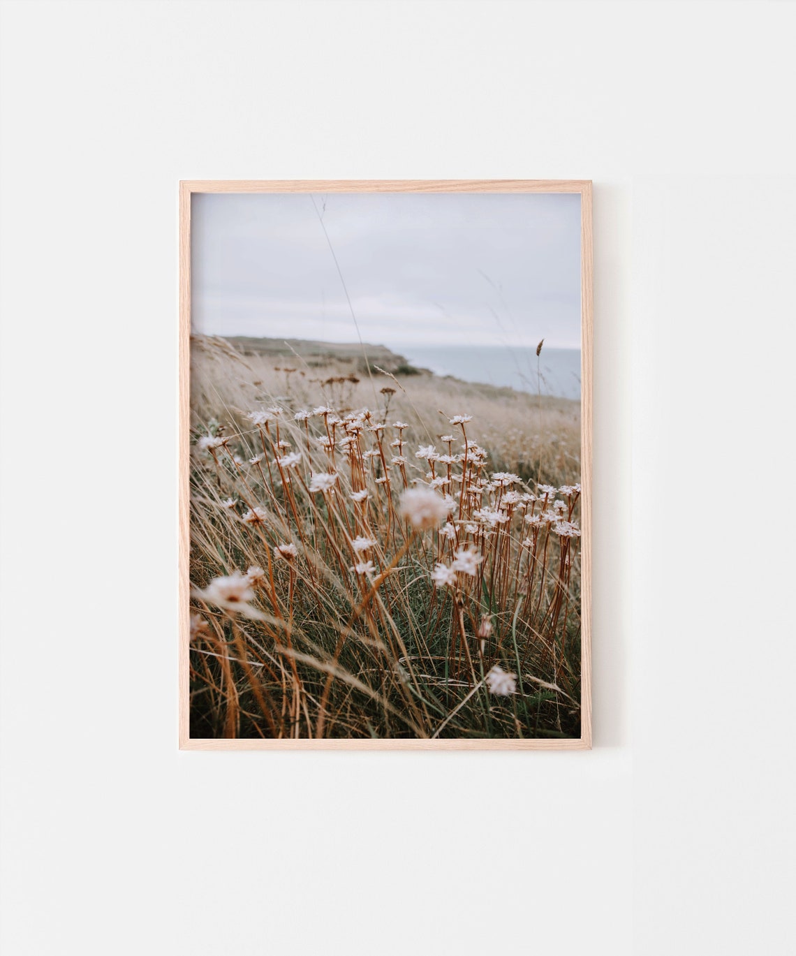 Highland Cow Prints Set of 6 Nature Gallery Wall Set | Etsy UK