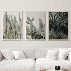 Minimalistische Kaktus 3er-Set Drucke, Tropische Blätter Poster, Kaktus Pflanze Fotografie, nordische botanische druckbare Wandkunst