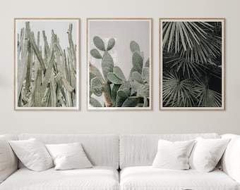 Minimalist Cactus Set of 3 prints, Tropical leaves posters, Cactus plant photography, Nordic botanical Printable Wall Art