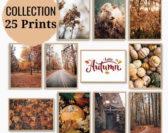 25 prints, Fall wall art, Autumn gallery wall set, fall nature posters, digital download, printable wall art