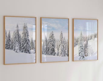 May include: A set of three vertical wall art prints in light wood frames, each displaying a winter landscape featuring snow-covered evergreen trees against a pale blue sky. The images capture a serene, snowy mountain forest scene in daylight.