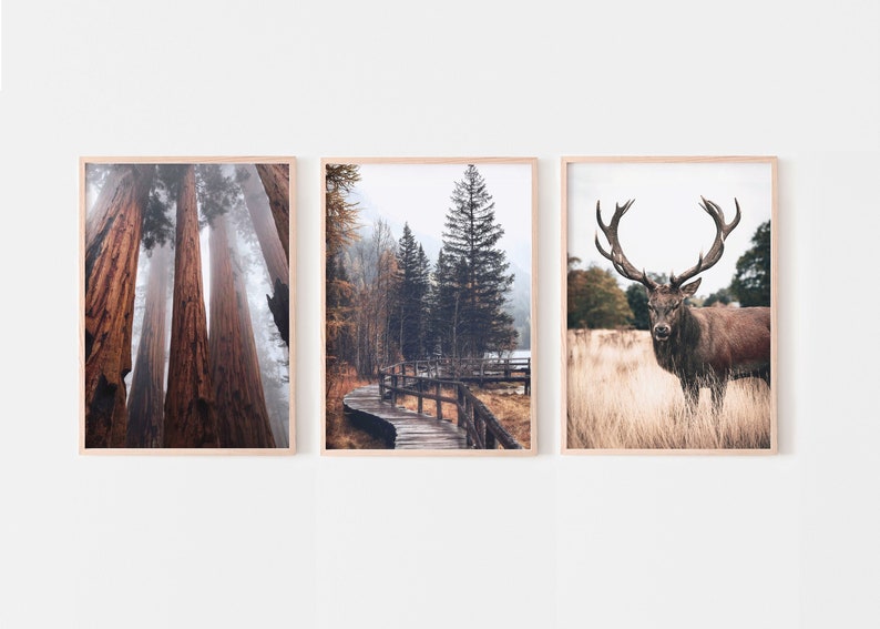 3 Piece Wall Art Landscapes Set of 3 Prints Fall Forest Set - Etsy